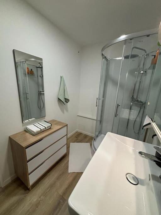 T3 Pied De La Gare + Centre Commercial Tout Inclus 올리언스 외부 사진