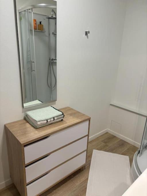 T3 Pied De La Gare + Centre Commercial Tout Inclus 올리언스 외부 사진